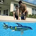 Radio-Controlled Hammerhead Shark