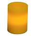 Gerson Everlasting Glow Indoor Flameless Wax Candle with Timer, 4" x 3"