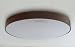 【ARTWORKSTUDIO】 Moment-ceiling lamp アートワークスタジオ モーメント シーリングランプ　　ブラウン 別画像