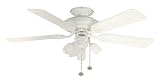 Review Fantasia  / Mayfair 42 Inch Ceiling Fan