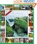 365 Days in Ireland Calendar 2009 (Picture a Day Wall Calendars)