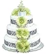 Bloomers Baby Green Daisies