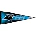 CAROLINA PANTHERS OFFICIAL LOGO PENNANT BUTTON BUMPER STICKER SET