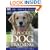 New Pocket Dog Training