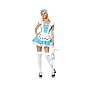 Alice In Wonderland Costume Adult