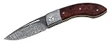 Fox Einhandmesser, Damaststahl, Amboina-Holz, Holzschatulle, Design Francesco Pachi
