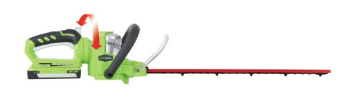 GreenWorks 22192 G-24-Volt 2 Amp Hour Cordless Lithium Ion Hedge Trimmer, 22-Inch