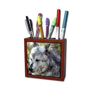 WhiteOak Photography Wolves - Wolf - Tile Pen Holders-5 inch tile pen holder