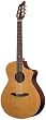 Breedlove Atlas Studio N250/CR,  Acoustic Electric Nylon String Guitar