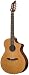 Breedlove Atlas Studio N250/CR,  Acoustic Electric Nylon String Guitar