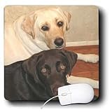 Dogs Labrador Retriever - Labrador Retriever - Mouse Pads