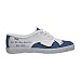 Zeta Phi Beta Shoe