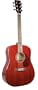 Johnson JG-D10-N Red Cliff Series Acoustic Guitar