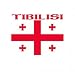Tibilisi Flag 1 Toddler T-Shirt
