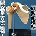 肩関節模型