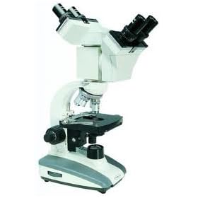 Dual View Microscope (1/Each)