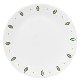 Corelle Livingware 8-1/2-Inch Luncheon Plate, City Gardens