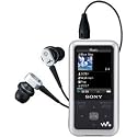 Sony 4 GB Walkman Video MP3 Player with FM Tuner (Silver)