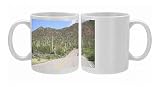 Saguaro cacti, Saguaro National Park, Tuscon Mountain District west unit, Photo Mugs