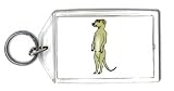 Keychain with rodent image