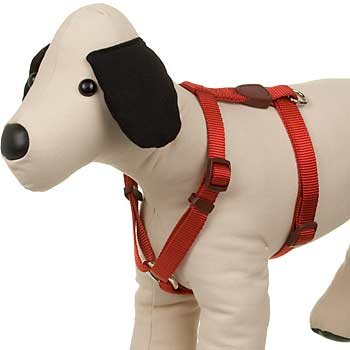 aspen pet harness