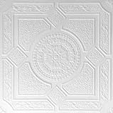 R 30 Styrofoam Direct Glue Up Ceiling Tile (20x20)