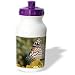 Beverly Turner Photography - Butterfly on Beebalm Flower - Water Bottles