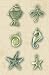 Sea Glass Metal Art Embellishments Charms