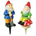 Fred Fancy Plants - 2 Gnomes