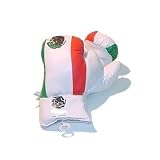 Kids/Childs 8 oz Mexican Flag Boxing Gloves