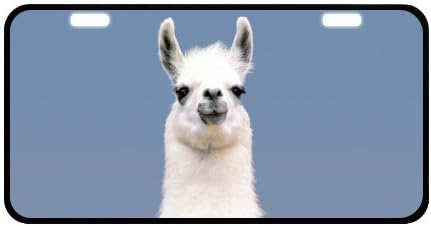 11.8" X 6.1" High Quality Car Tag with Alpaca Image Metal License Plate for Car Black Trim