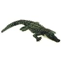 Green Alligator 27