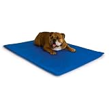 K&H Cool Bed III Cooling Dog Bed, Medium, 22-Inches by 32-Inches, Blue