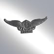 Boeing Stylized Wings Pin