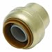 Cash Acme U518A Sharkbite Brass Cap