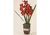 Cord Crafts Cymbidium Orchid In Square Wood