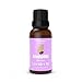 AromaOils Lavender Oil - 1 oz - 100% Pure Therapeutic Grade Scented Essential Oil - Best Now for Relaxation, Sleep, Headache, Migraine Relief, Stress Reduction, Massage Oil