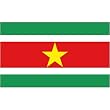 Suriname 3ft x 5ft Nylon Flag