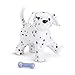 American Girl Pet - Dalmatian Puppy - MY AG 2014