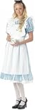 : Alice in Wonderland Adult Costume