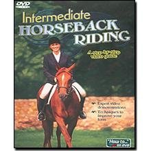 horse riding lessons