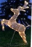 Outdoor Living : Jumping Reindeer Outside Christmas Light