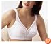 Playtex Women's 18 Hour Original Comfort Strap Bra, White, 34DD