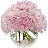 Flowers - Precious Peonies