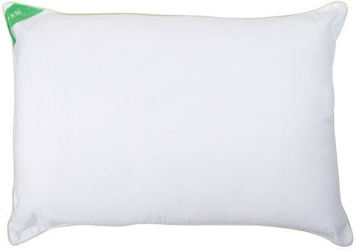 Hollander Nanotex Firm Support Back Sleeper Pillow 71" X 54" White