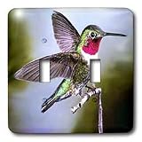 Review 3dRose LLC  / Birds - Hummingbird, Bird - Light Switch Covers - double toggle switch