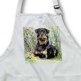 Dogs Rottweiler - Rottweiler - Aprons