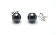 AAA Quality Round 5.5-6mm Akoya SaltWater cultured Black Pearl Earrings with 18K White Gold Mount