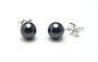 AugustinaJewelry AAA Quality Round 5.5-6mm Akoya SaltWater cultured Black Pearl Earrings with 18K White Gold Mount
