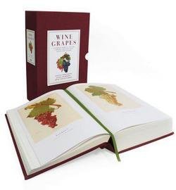 Jancis Robinson: Wine Grapes : A Complete Guide to 1,368 Vine Varieties, Including Their Origins and Flavours (Hardcover); 2012 Edition